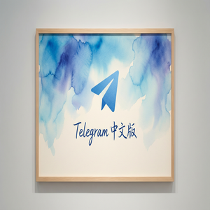 电报中文版阅后即焚消息功能使用教程（完整版） - Telegram 官网